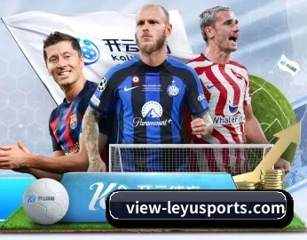 view-leyusports.com的故事